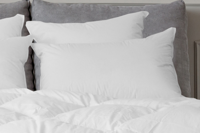 Sierrra Down Alternative Pillow