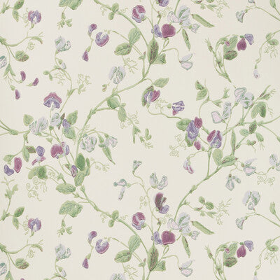 Sweet Pea