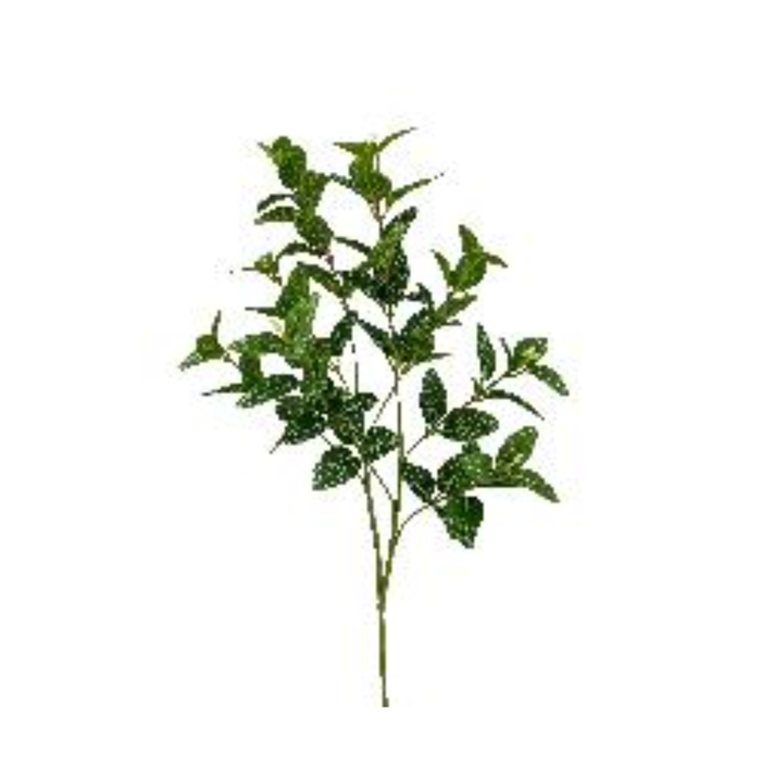 Variegated Laurel Spray, DIY Wreath Supply, Home Decor