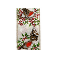 Winter Bird Birdhouse Wired Ribbon by JAS Ribbon – 2.5" x 10 Yards, Wreath Ribbon