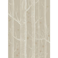 Woods & Stars