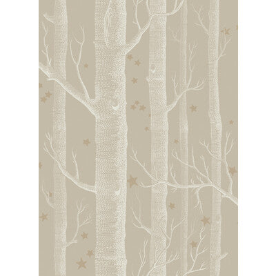 Woods & Stars
