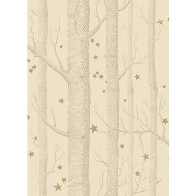 Woods & Stars