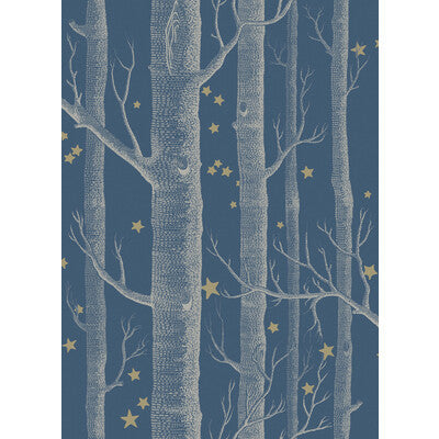 Woods & Stars